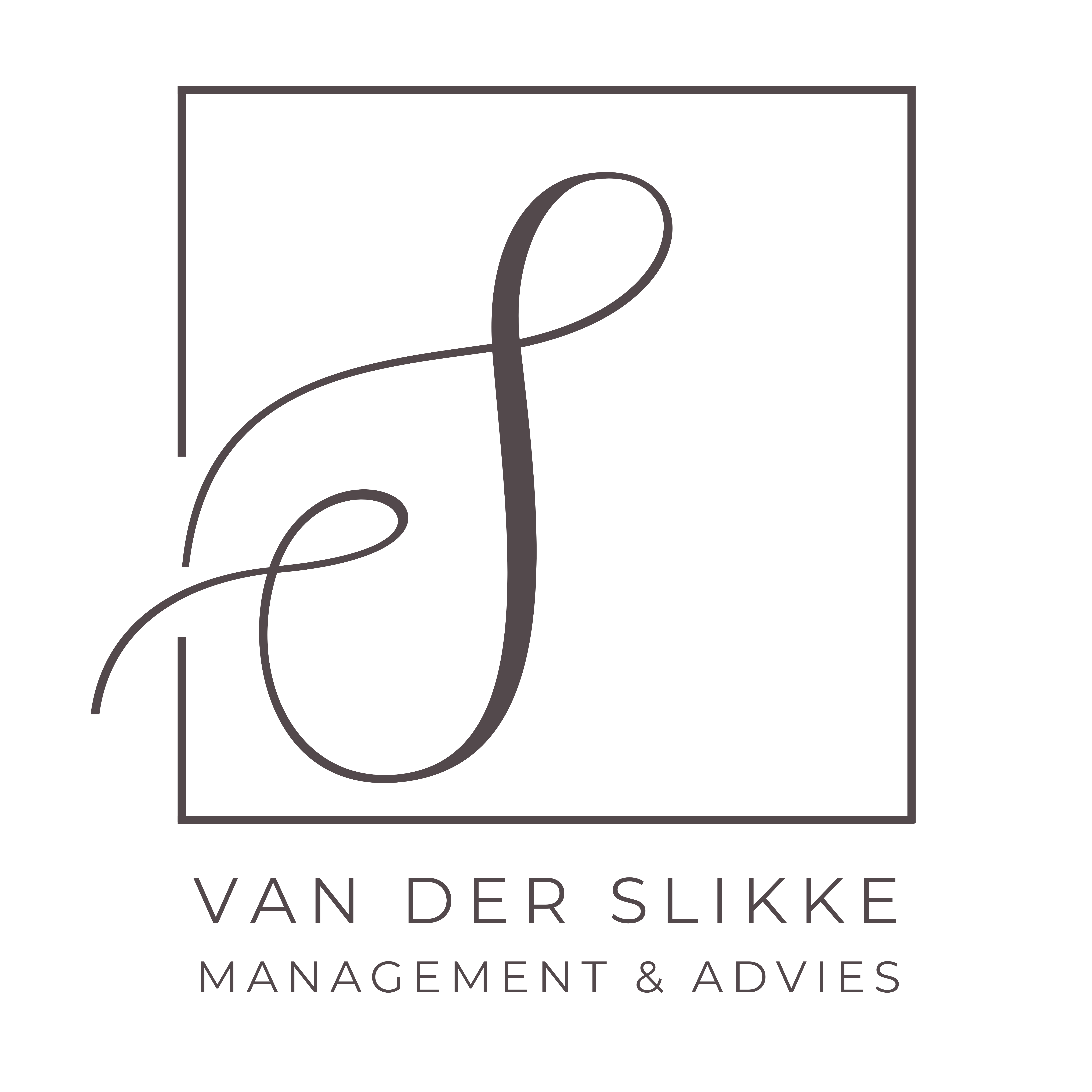 Van der Slikke - Management & Advies